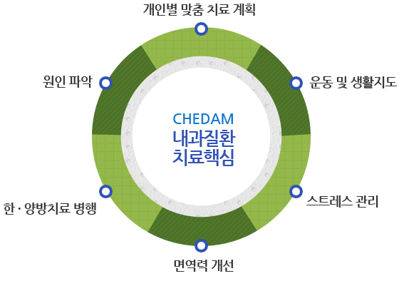 내과질환 치료핵심 아래설명 참조