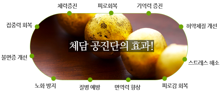 체담 공진단의 효과 아래설명 참조